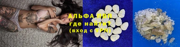 ПСИЛОЦИБИНОВЫЕ ГРИБЫ Лихославль