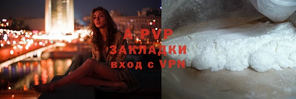 ПСИЛОЦИБИНОВЫЕ ГРИБЫ Лихославль