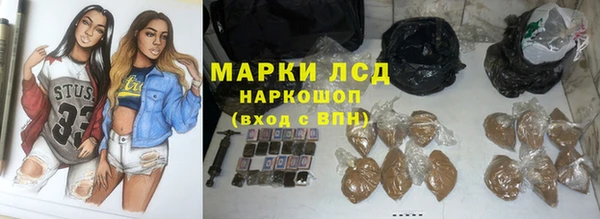 ПСИЛОЦИБИНОВЫЕ ГРИБЫ Лихославль