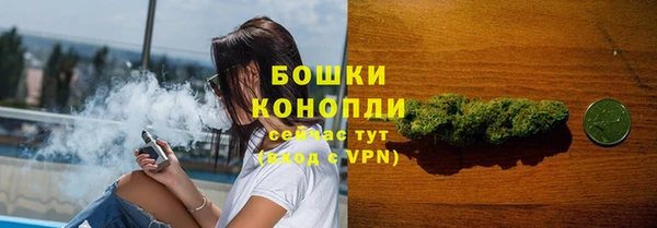 ПСИЛОЦИБИНОВЫЕ ГРИБЫ Лихославль