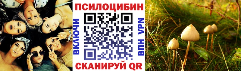 Псилоцибиновые грибы Cubensis  Сорск 