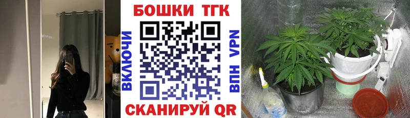 купить   Сорск  Канабис Amnesia 